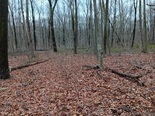 a view of outdoor space with wooden fence