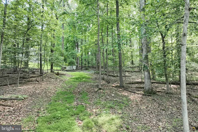 a view of outdoor space and green space