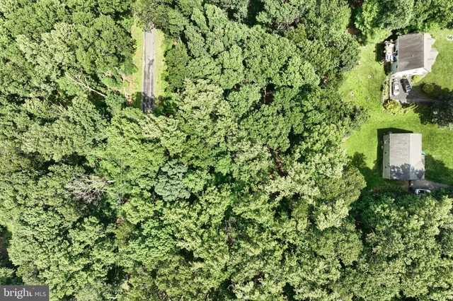 a view of a house with a tree