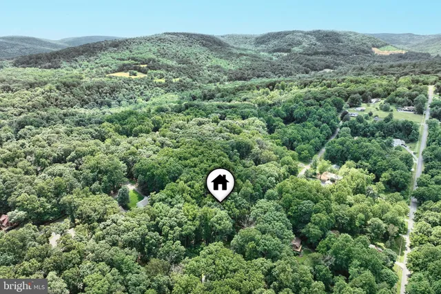 a view of a lush green field