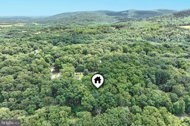 a view of a lush green field