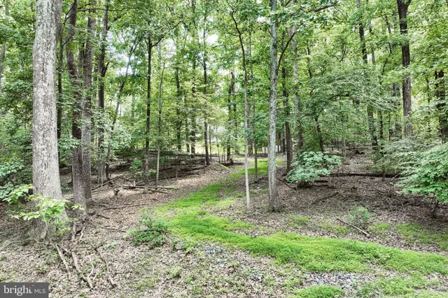 a view of outdoor space and garden