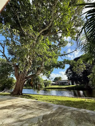 a view of a yard with plants and a large trees