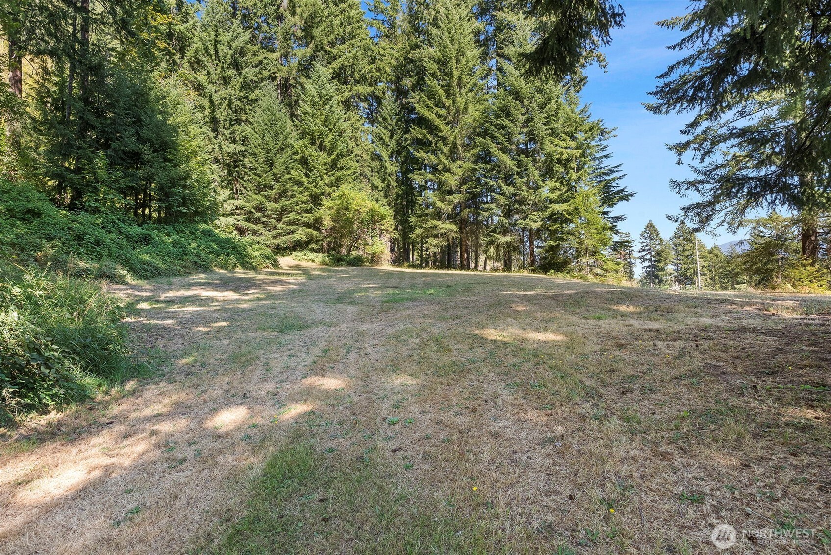 168 Boyd Road Randle, WA 98377 - Photo 35 of 37 Gallery Image 35
