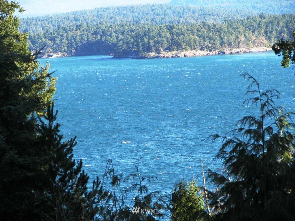 635 Ridgedale Road San Juan Island, WA 98250 - Photo 24 of 24 Gallery Image 24