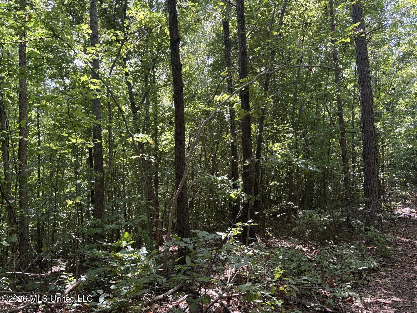 180 County Road New Albany, MS 38652 - Photo 25 of 39 Photo Aug 27 2026, 2 15 49 PM (Large)