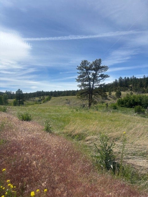147 Haystack Coulee Road Reed Point, MT 59069 - Photo 4 of 15 Gallery Image 4