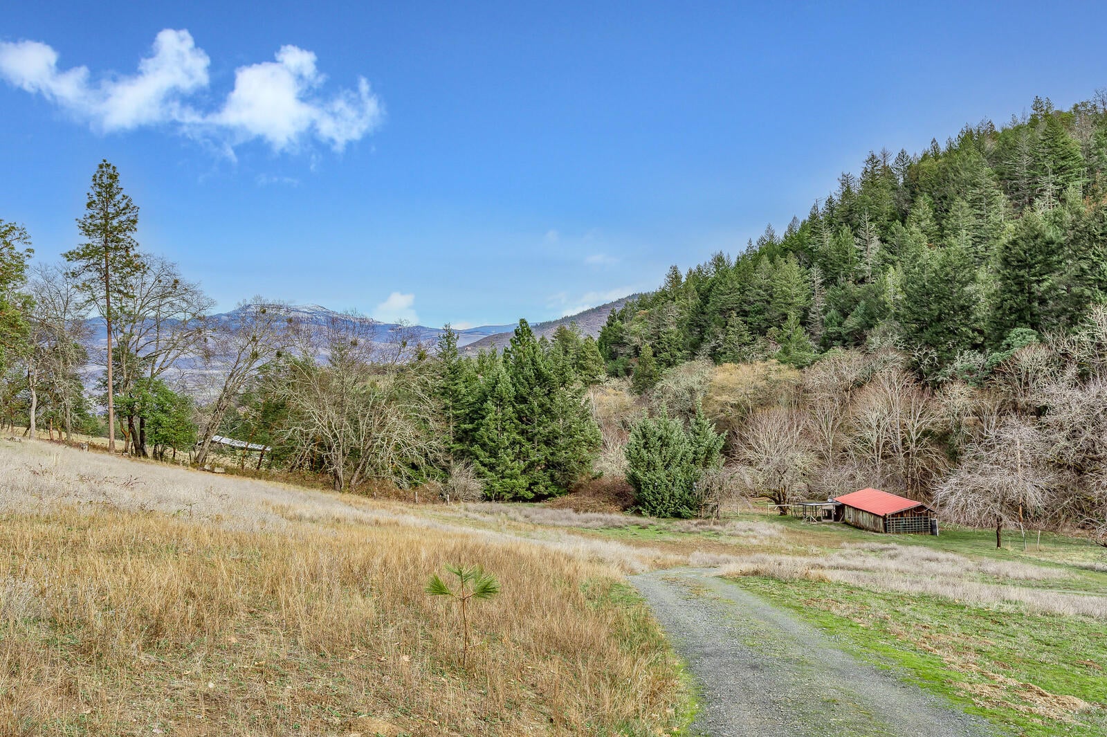 2128 Anderson Creek Road Talent, OR 97540 - Photo 35 of 87 21_ACr_21_mls