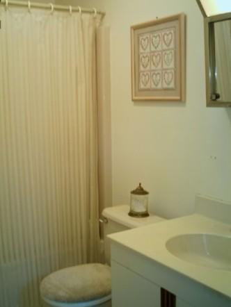 223 Brookdale Road Bartonsville, PA 18321 - Photo 12 of 13 Bath