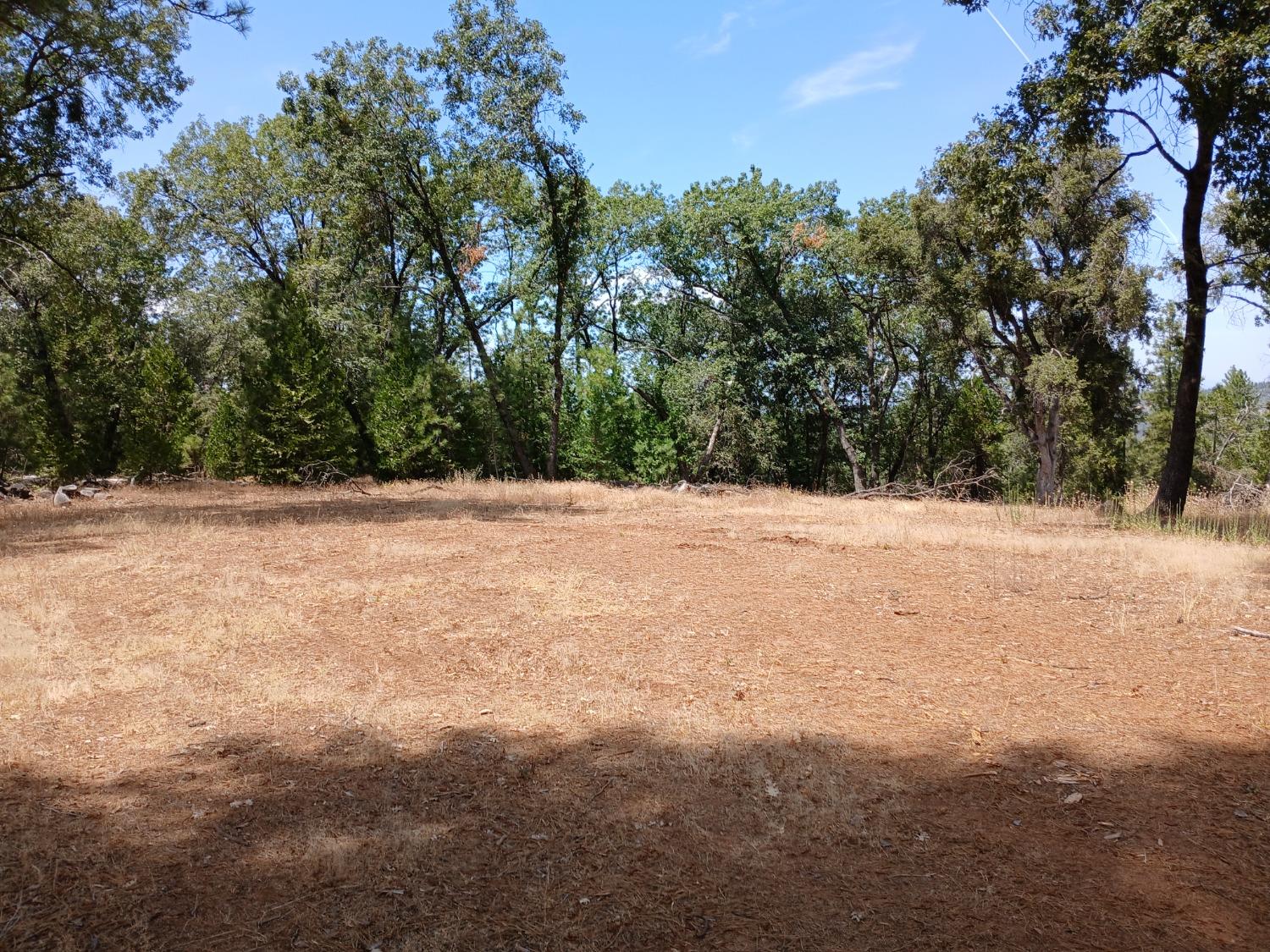20295 Shake Ridge Road Volcano, CA 95689 - Photo 1 of 1 Gallery Image 1
