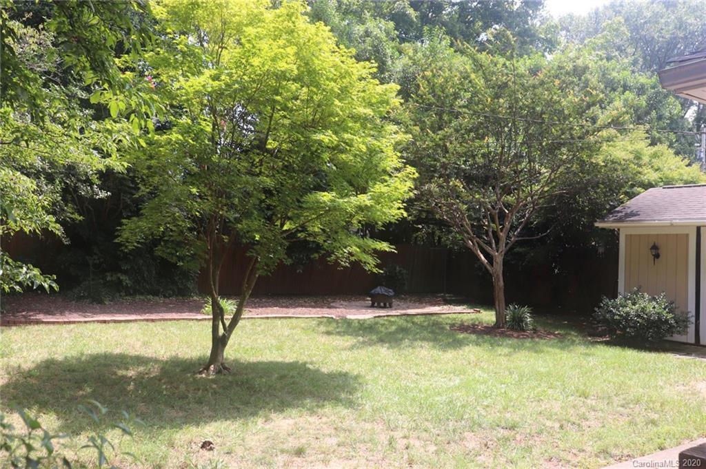 1100 Norland Road Charlotte, NC 28205 - Photo 12 of 13 a view of swimming pool with a tree