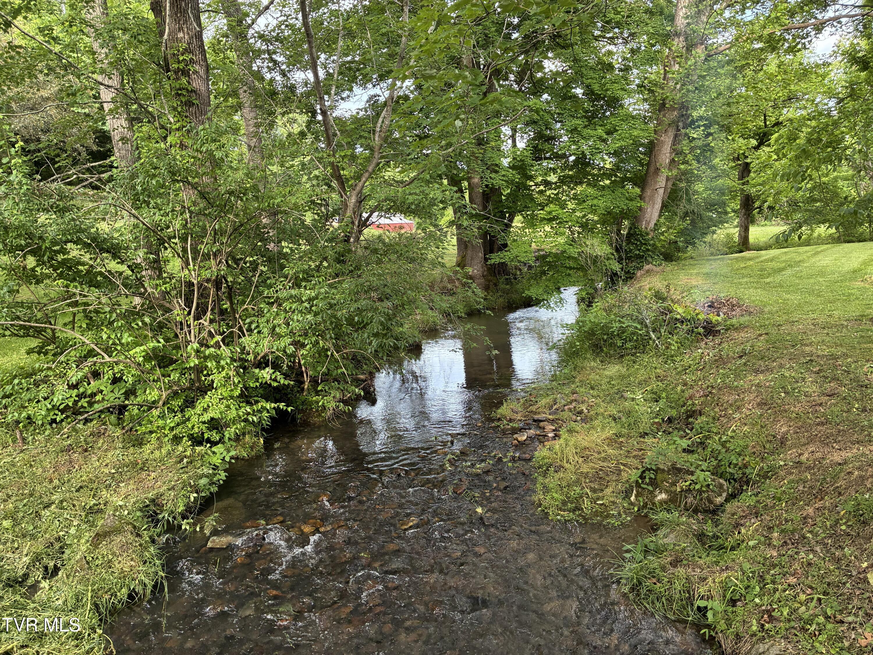 940 Middle Creek Road Afton, TN 37616 - Photo 12 of 80 Landscape 11