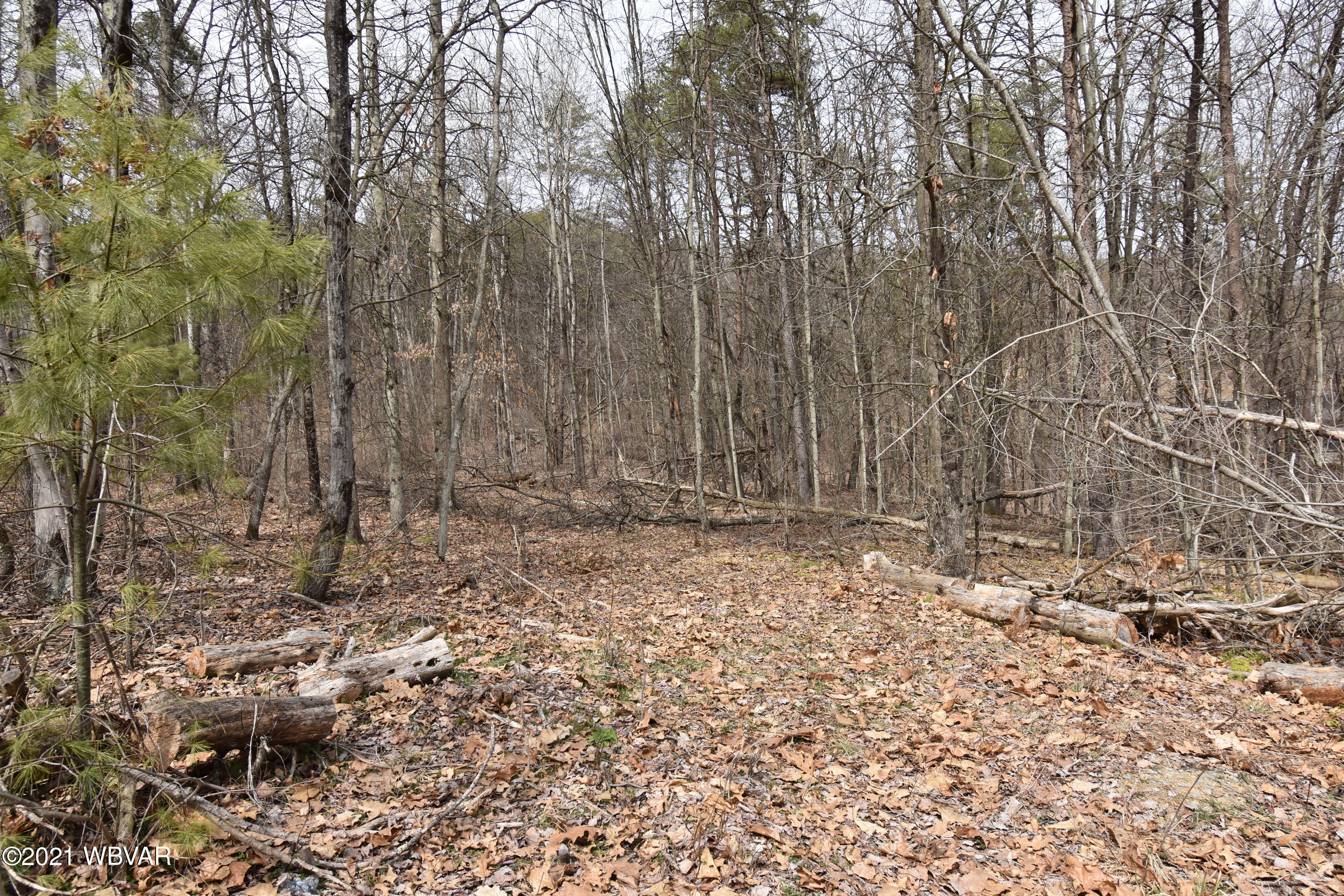 56 Pops Lane Mill Hall, PA 17751 - Photo 38 of 43 Gallery Image 38