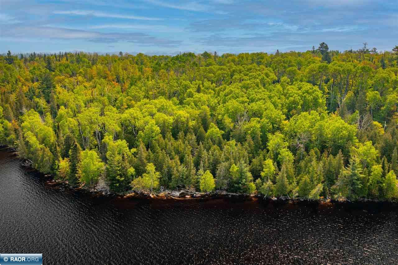 Tbd Tbd Bagley Forest Road Cook, MN 55723 - Photo 3 of 21 Gallery Image 3