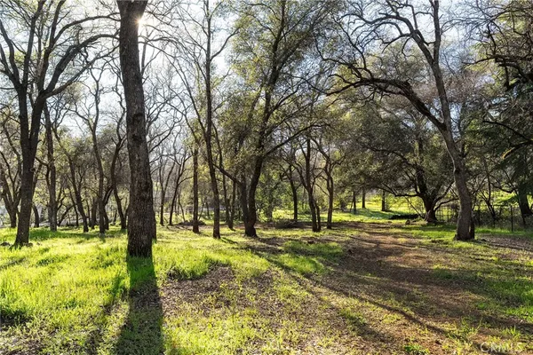 $849,000 | 123 Grand Oak Drive, Oroville, CA 95966