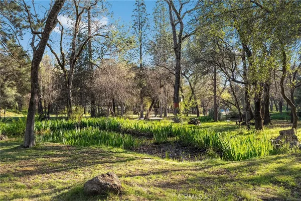 $849,000 | 123 Grand Oak Drive, Oroville, CA 95966