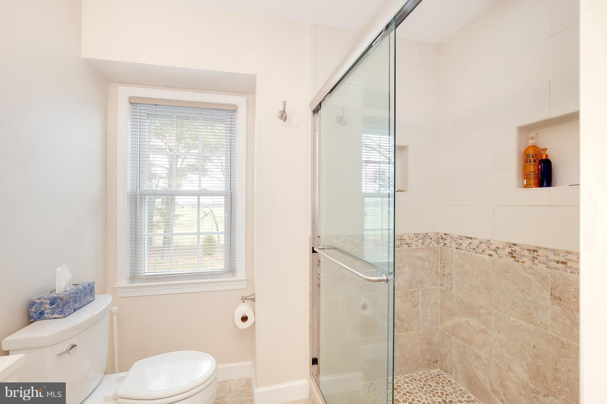 3980 Cobbler Mountain Road Delaplane, VA 20144 - Photo 17 of 30 Bath (Master)