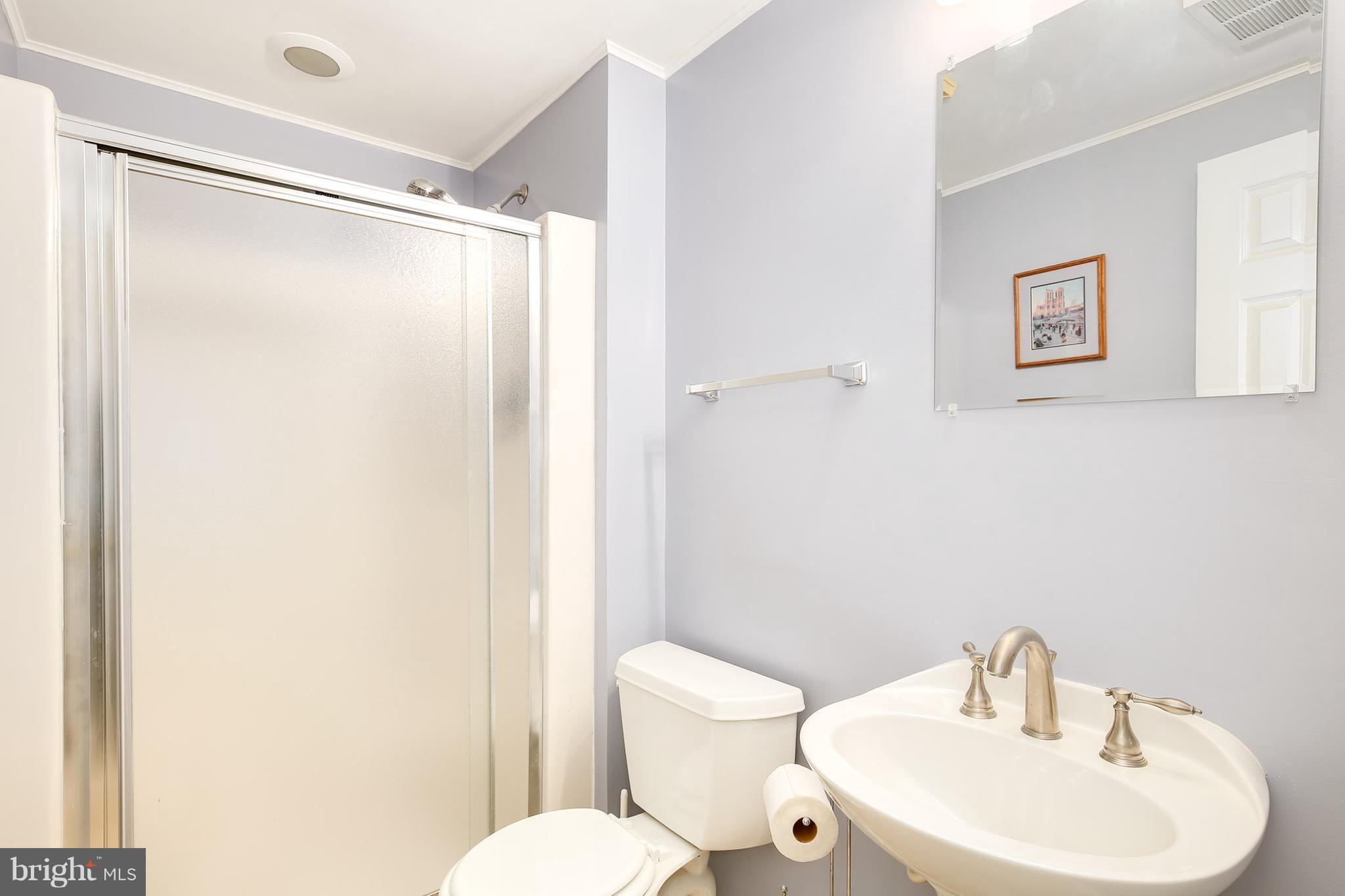 3980 Cobbler Mountain Road Delaplane, VA 20144 - Photo 24 of 30 Bath