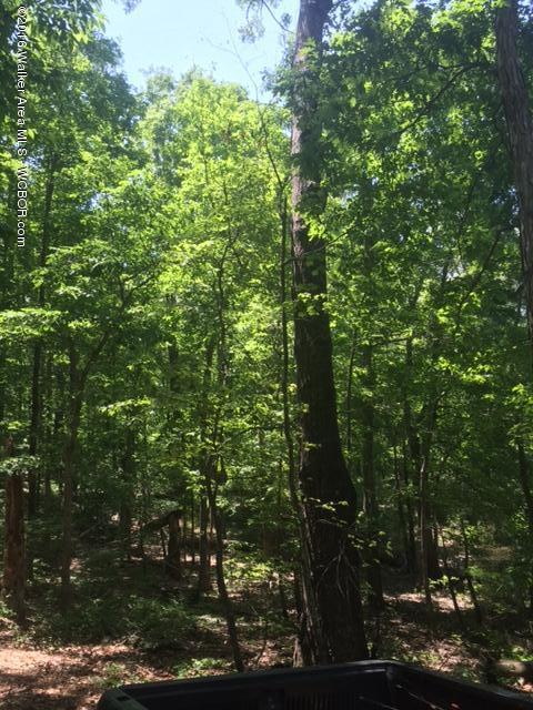 South Dogwood Road Double Springs, AL 35553 - Photo 10 of 15 Gallery Image 10