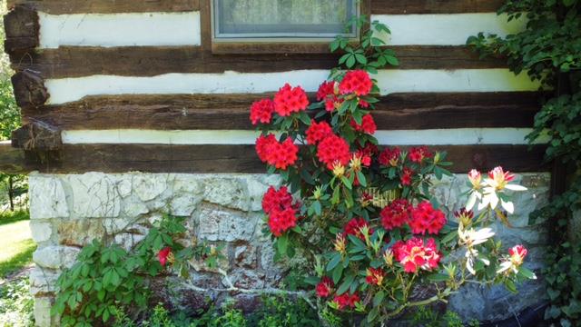 24525 Walden Road Abingdon, VA 24210 - Photo 27 of 40 Gallery Image 27