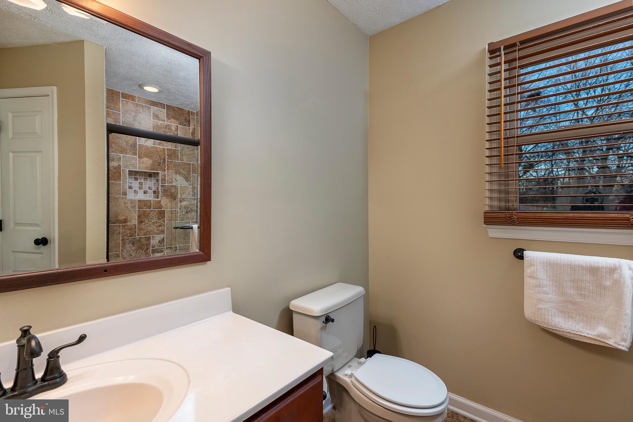 7532 Knoll Acres Road Hanover, MD 21076 - Photo 17 of 31 Primary Bathroom