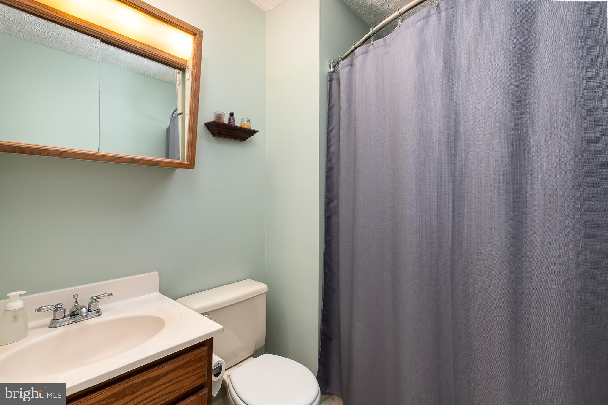 7532 Knoll Acres Road Hanover, MD 21076 - Photo 20 of 31 Hall Bathroom
