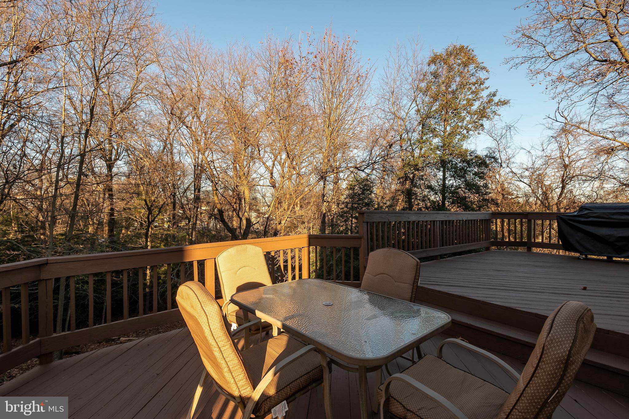 7532 Knoll Acres Road Hanover, MD 21076 - Photo 27 of 31 Back Deck (alt view)
