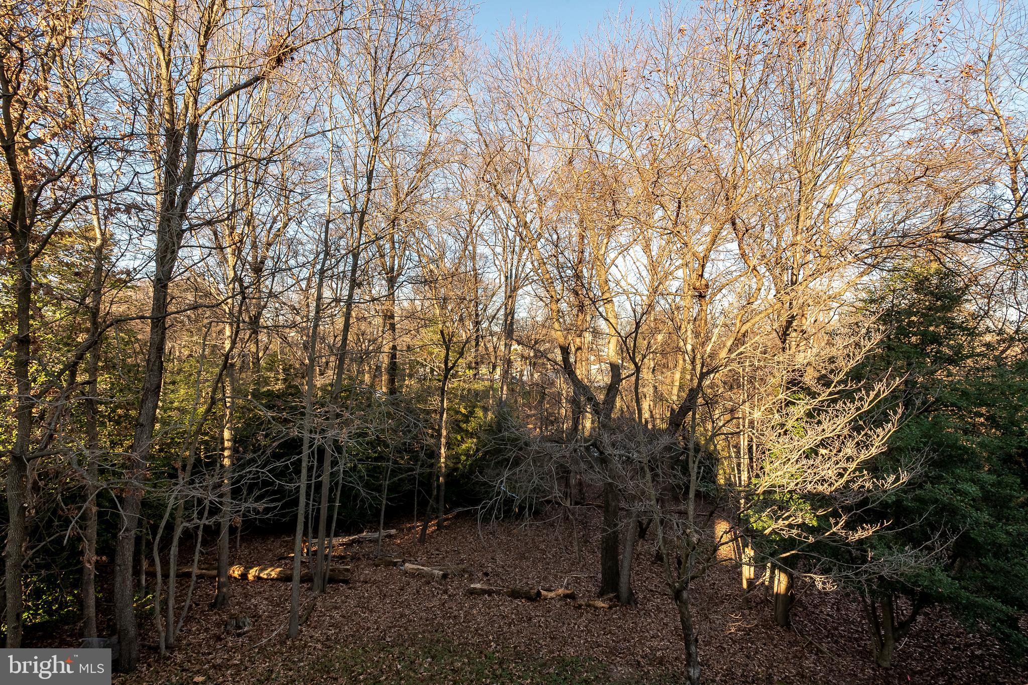 7532 Knoll Acres Road Hanover, MD 21076 - Photo 28 of 31 Back Deck View