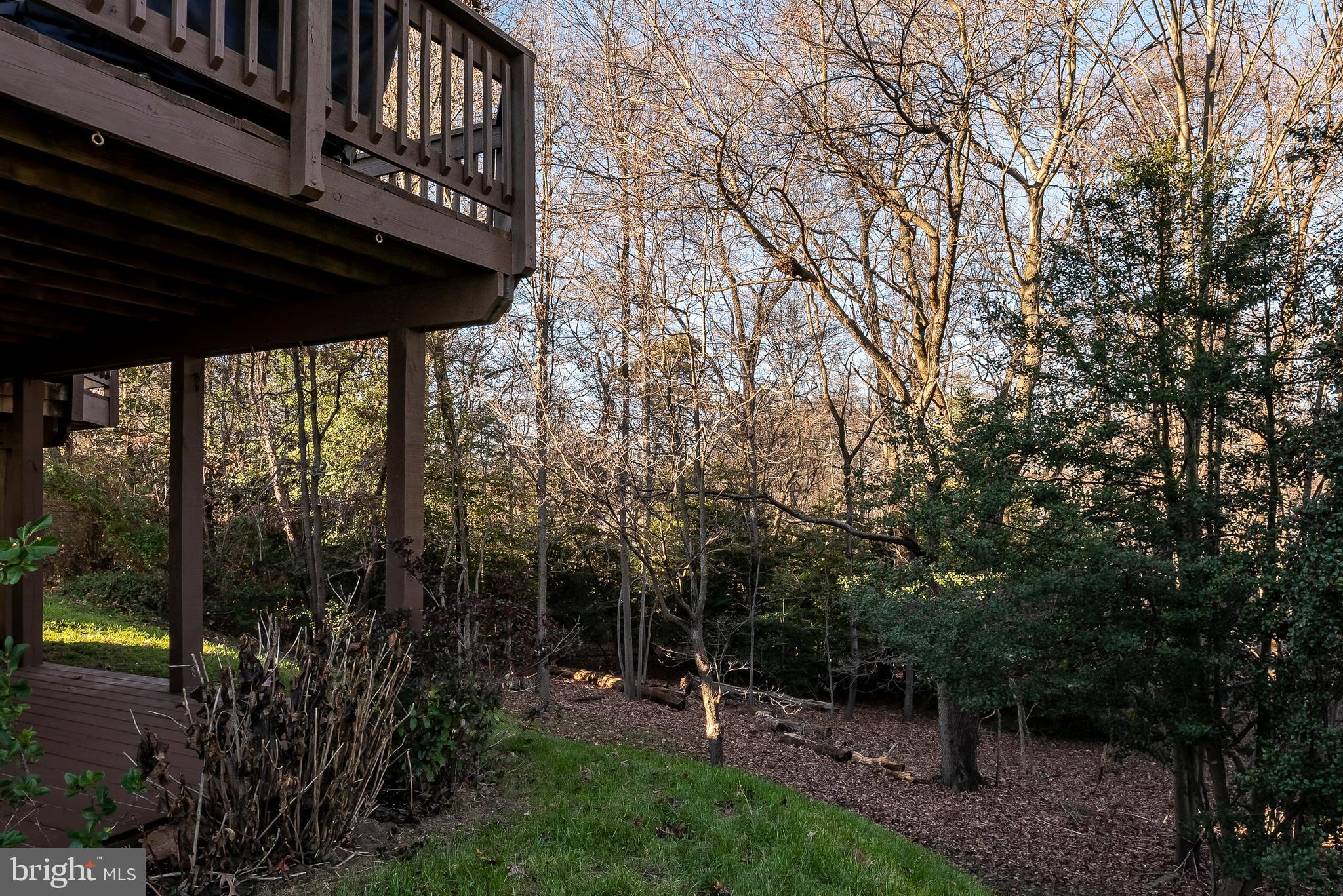 7532 Knoll Acres Road Hanover, MD 21076 - Photo 29 of 31 Back Yard