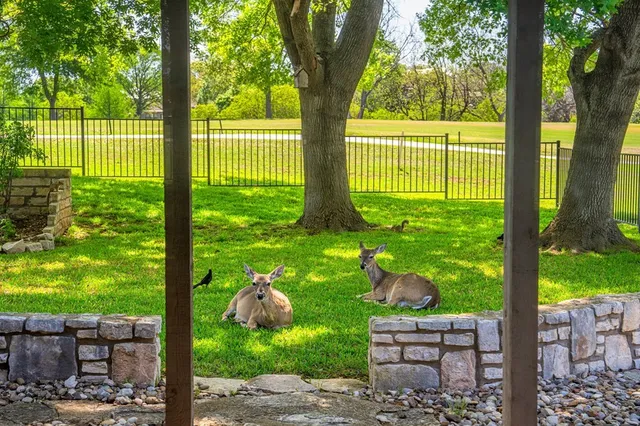 a backyard of a house with lots of green space