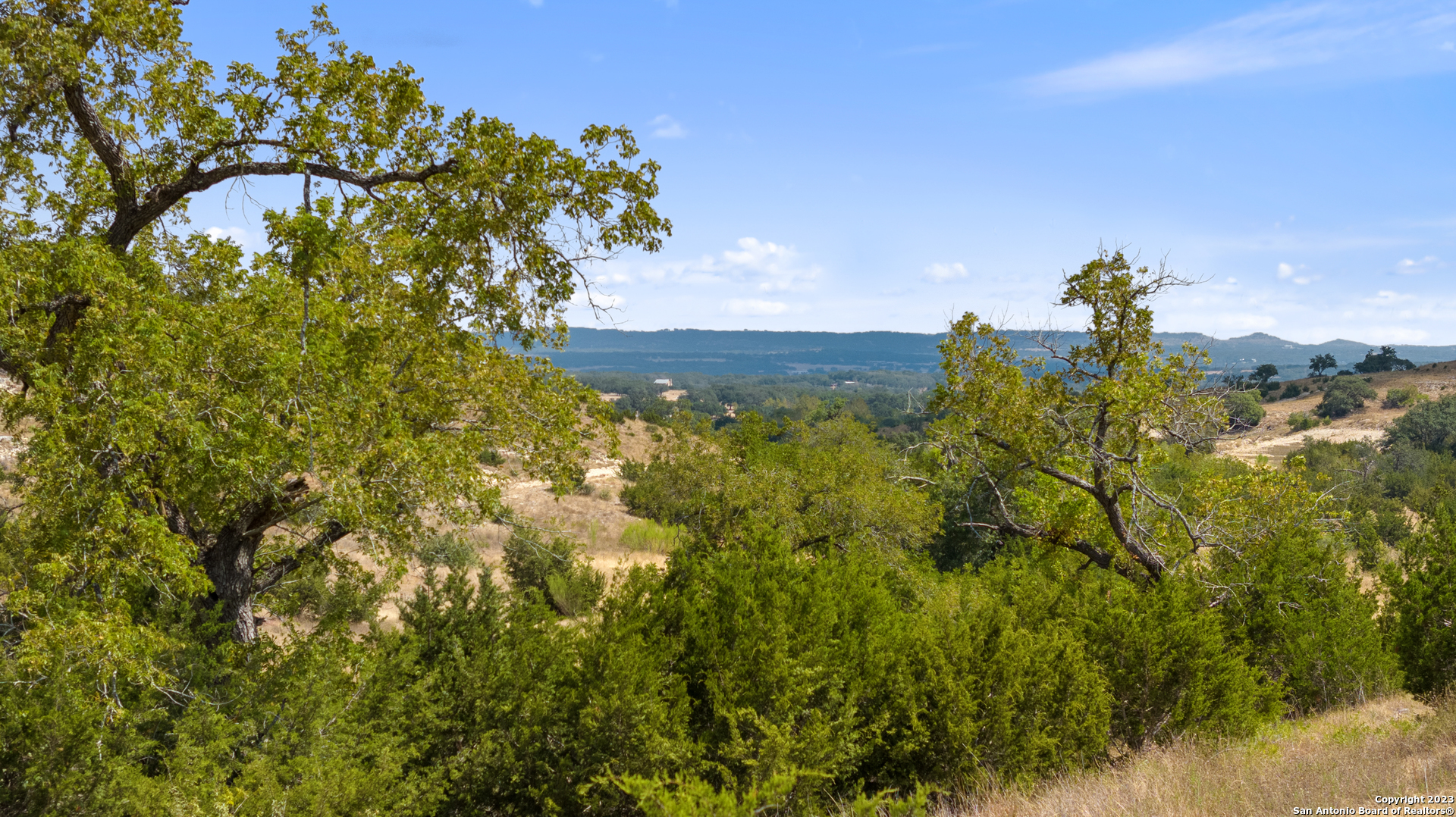 120 Falling Oak Trail Blanco, TX 78606 - Photo 6 of 15 a view of a city