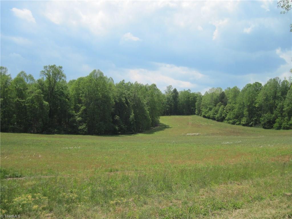 1918 Walshtown Road Boomer, NC 28606 - Photo 1 of 5 Gallery Image 1
