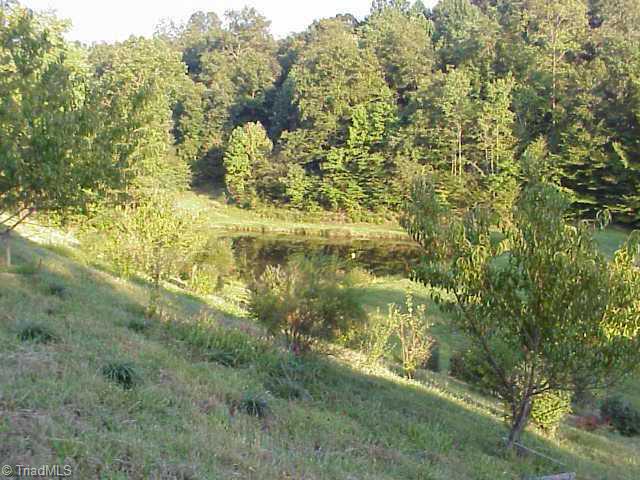1334 Peter Mabe Road, Unit 1334 Danbury, NC 27016 - Photo 2 of 5 Other.