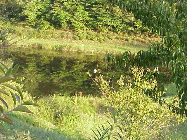 1334 Peter Mabe Road, Unit 1334 Danbury, NC 27016 - Photo 3 of 5 Other.