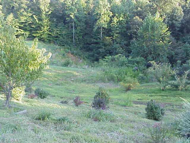 1334 Peter Mabe Road, Unit 1334 Danbury, NC 27016 - Photo 4 of 5 Other.