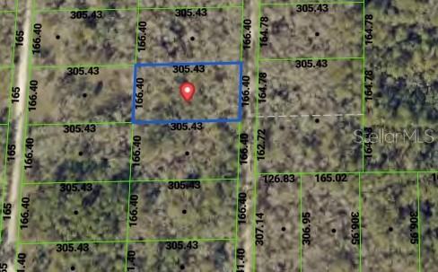 Tbd Packingham Drive Webster, FL 33597 - Photo 1 of 4 Gallery Image 1