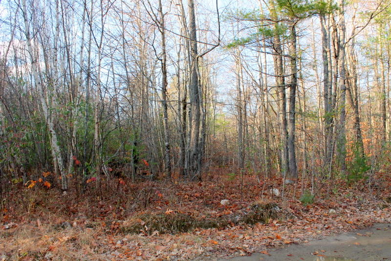 480 Williams Road Sabattus, ME 04280 - Photo 2 of 4 IMG_0951