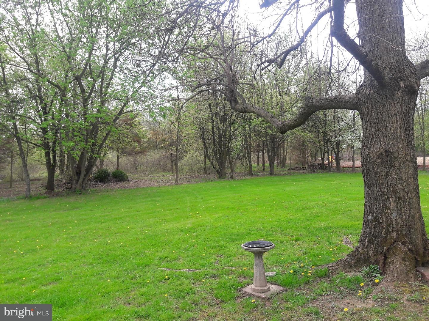 5290 Stump Road Pipersville, PA 18947 - Photo 14 of 20 Back Yard