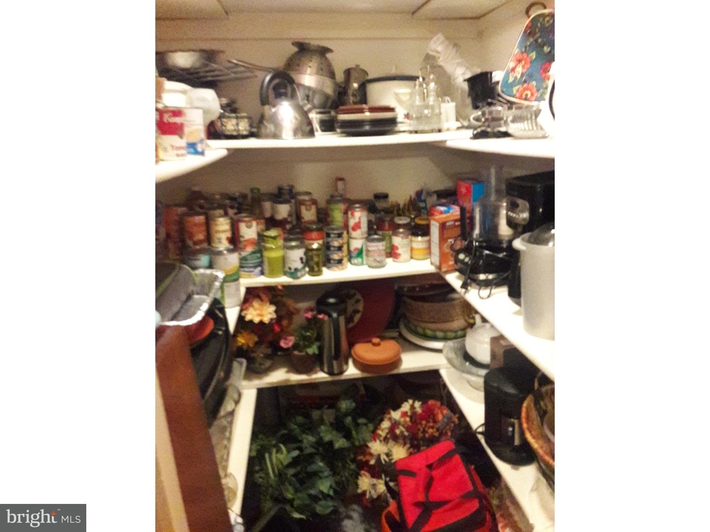 5290 Stump Road Pipersville, PA 18947 - Photo 10 of 20 Pantry