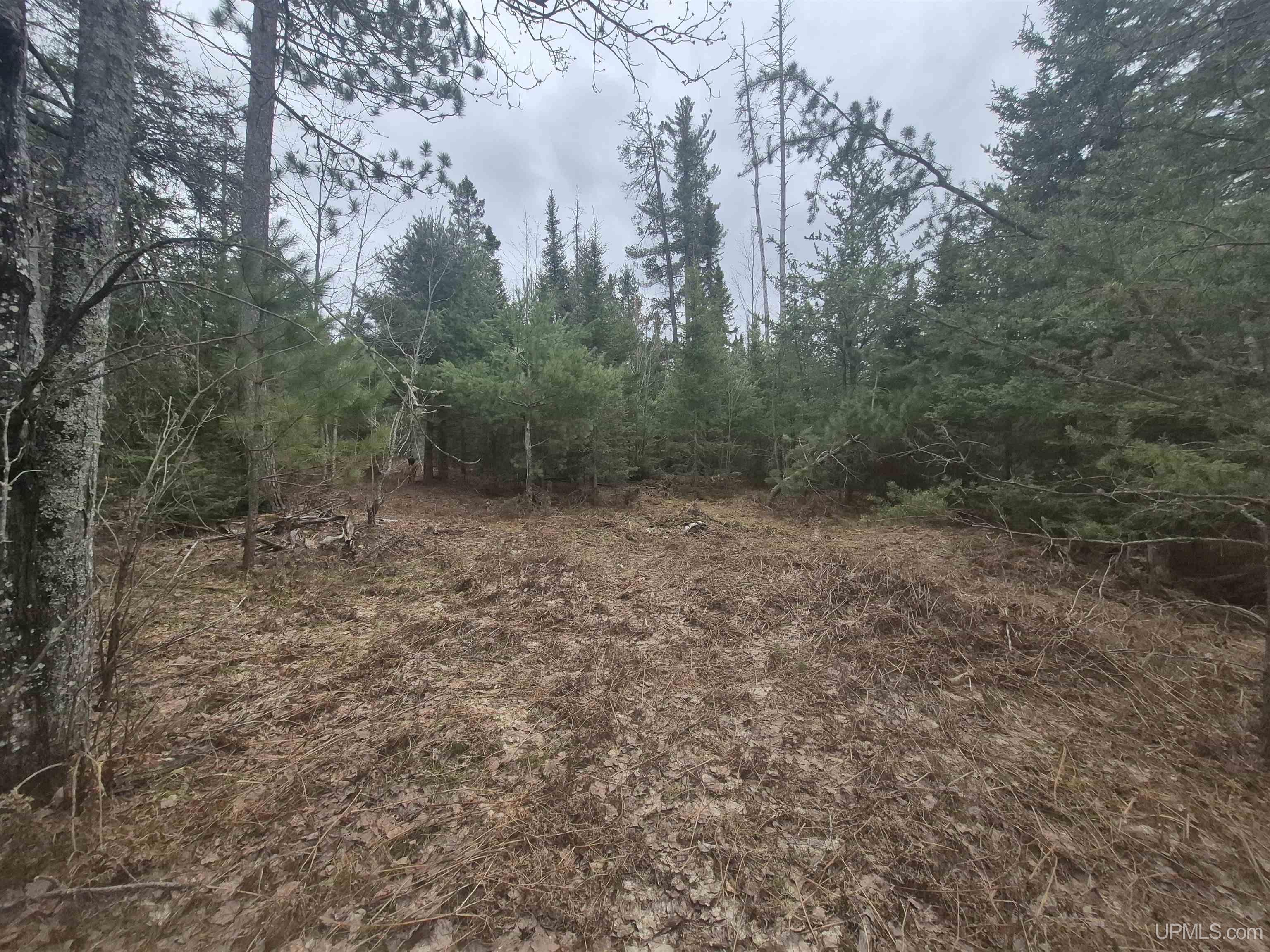 13551 County Road CS Road Ishpeming, MI 49849 - Photo 29 of 40
