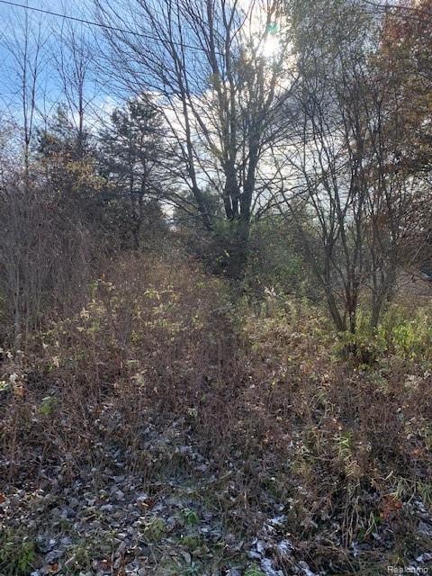 V/l West Mount Morris Road Flushing, MI 48433 - Photo 5 of 6