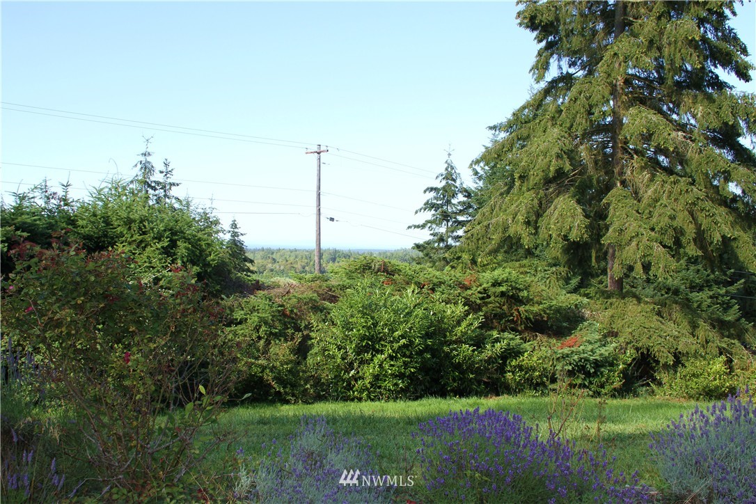 163 Lost Mountain Road Sequim, WA 98382 - Photo 2 of 25