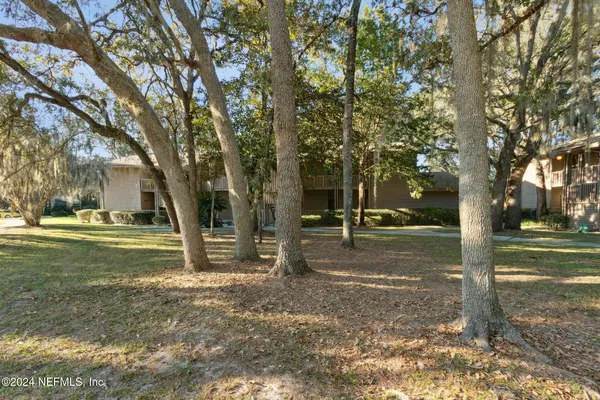 a view of a tree in the middle of a yard