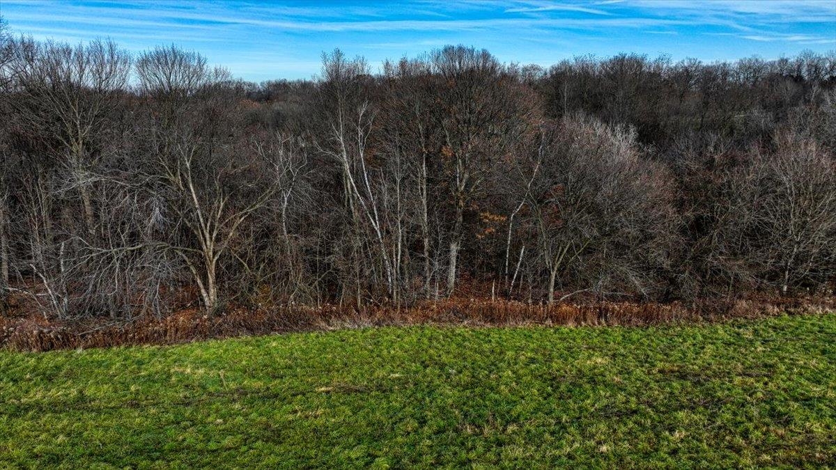 65566 Desoto Ridge Drive De Soto, WI 54624 - Photo 5 of 10