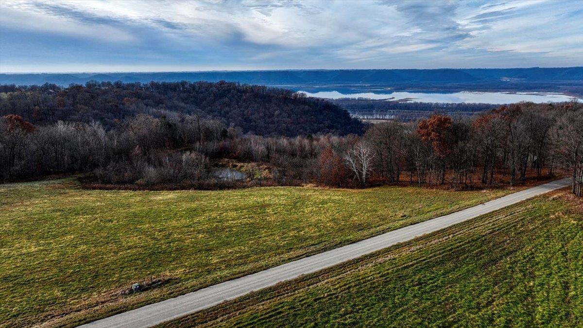 65566 Desoto Ridge Drive De Soto, WI 54624 - Photo 6 of 10