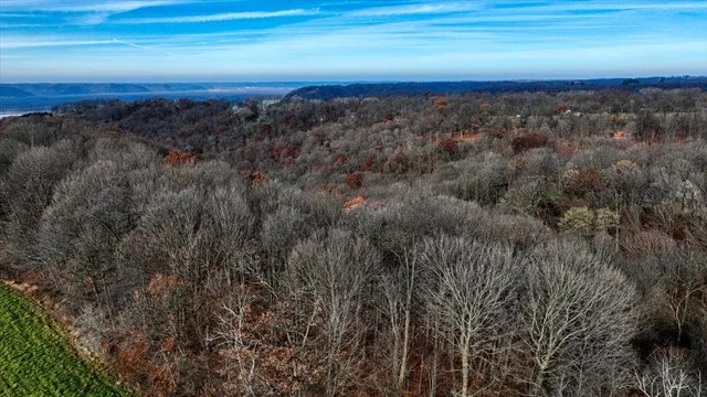 $80,000 | 65566 Desoto Ridge Drive, De Soto, WI 54624