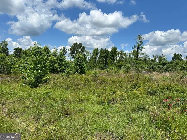 $30,000 | Lot 1 Rock Springs Road, Dublin, GA 31021