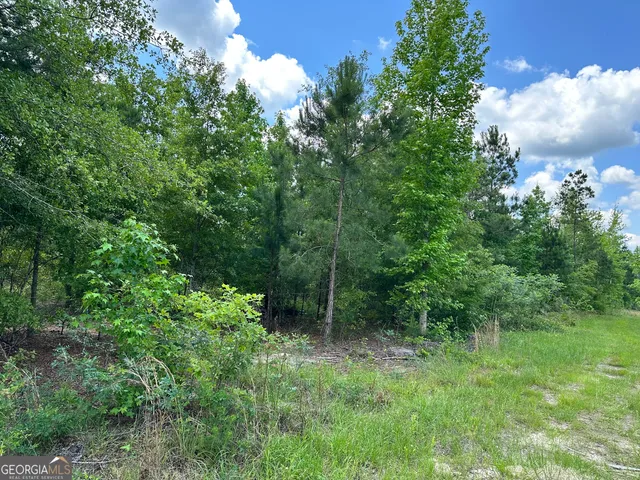 $30,000 | Lot 1 Rock Springs Road, Dublin, GA 31021