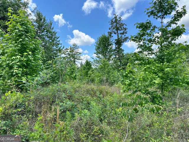 $30,000 | Lot 1 Rock Springs Road, Dublin, GA 31021