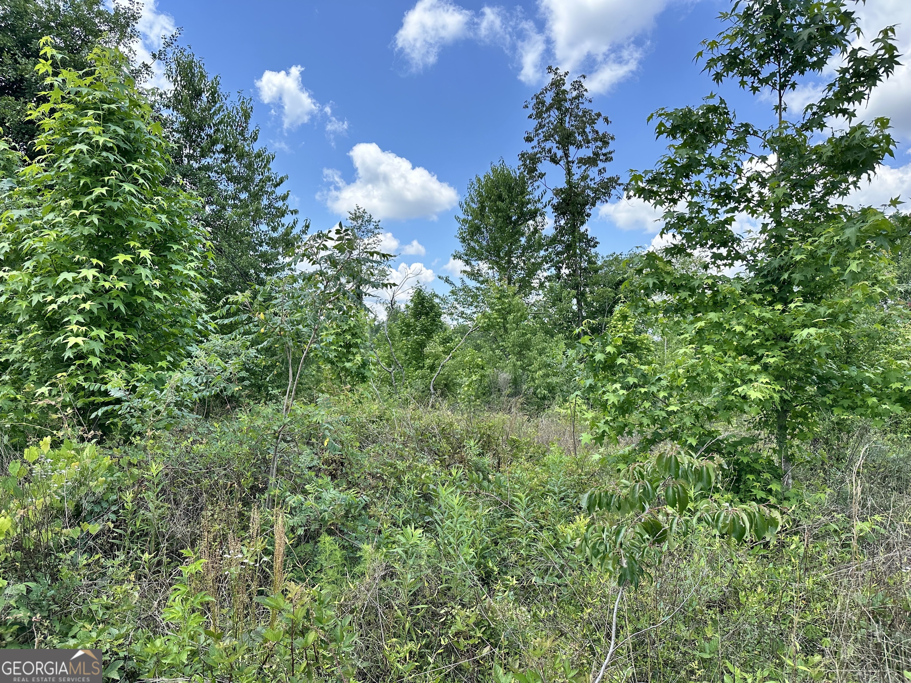 Lot 1 Rock Springs Road Dublin, GA 31021 - Photo 3 of 3